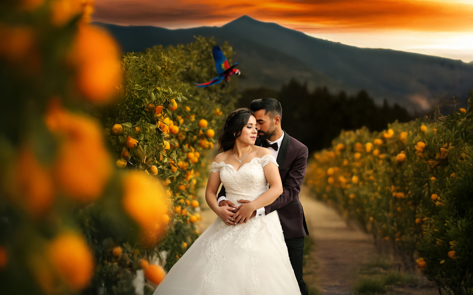 Wedding photography sample